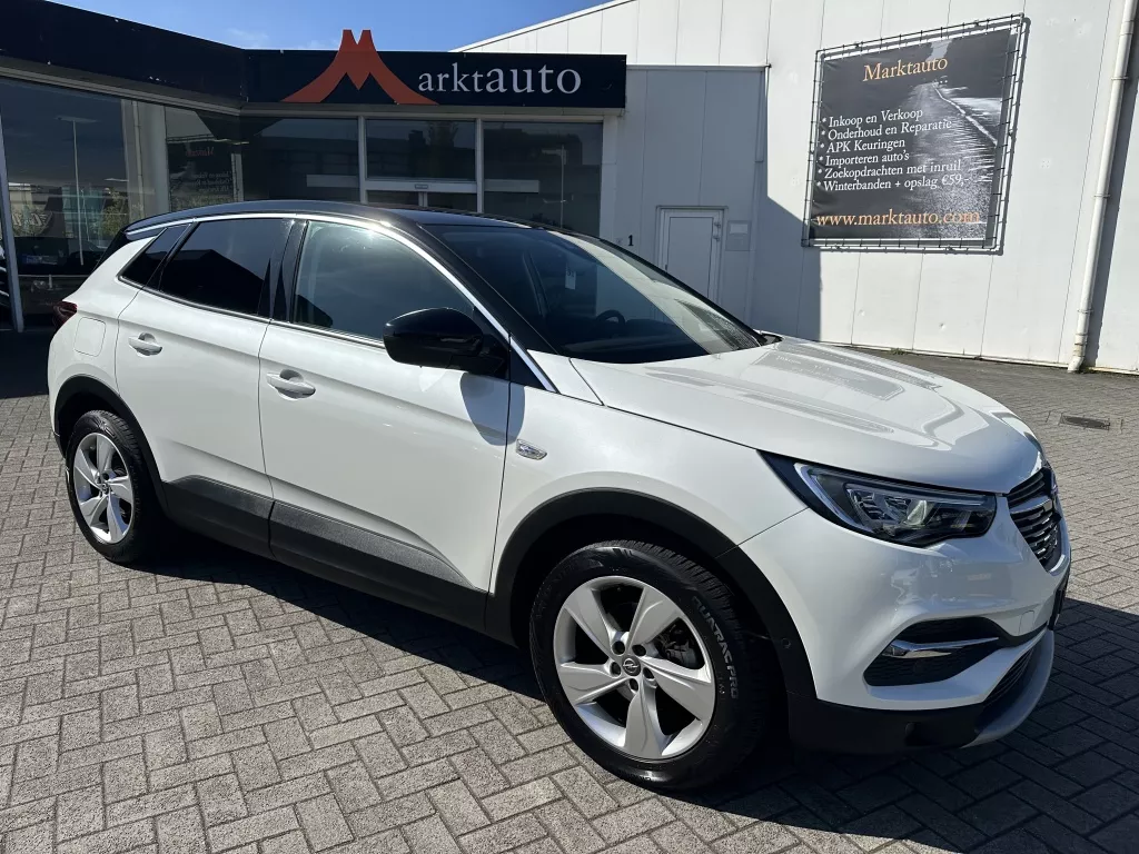 Opel Grandland X 1.2 Turbo Business Executive Camera Carplay Sportstoelen Stoelve